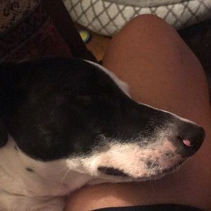 Meet your Posher, Kay